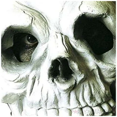 maska czaszka deluxe lateksowa widmann