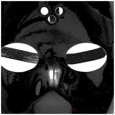 maska hokejowa jason czarna widmann