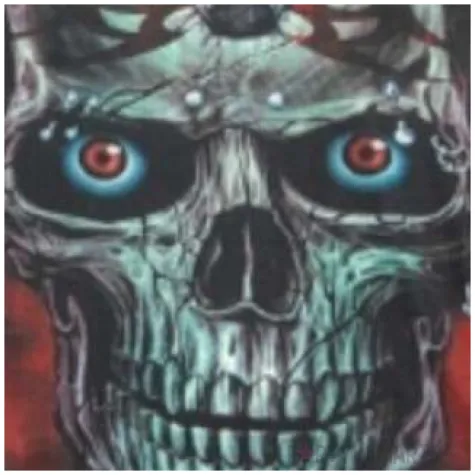 maska nowa twarz czaszka materialowa godan