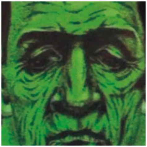 maska nowa twarz zombie materialowa godan