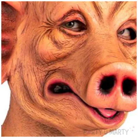 maska swinia carnival toys