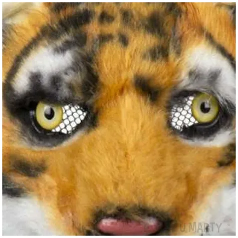 maska tygrys pluszowa boland