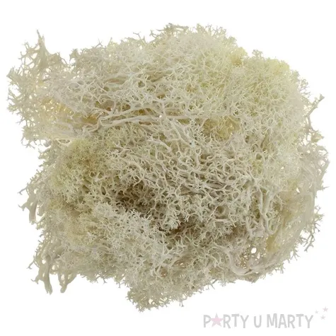 mech chrobotek reniferowy kremowy titanum 20 g