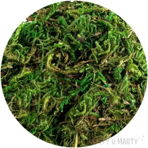 mech naturalny aliga 30 g