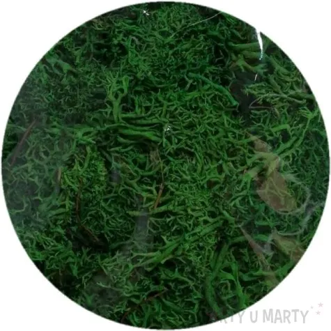 mech reniferowy ciemny aliga 30 g