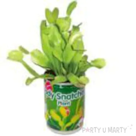 mucholowka zarloczna roslina gadgetmaster