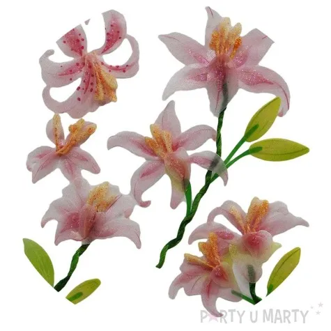 naklejki lilie titanum