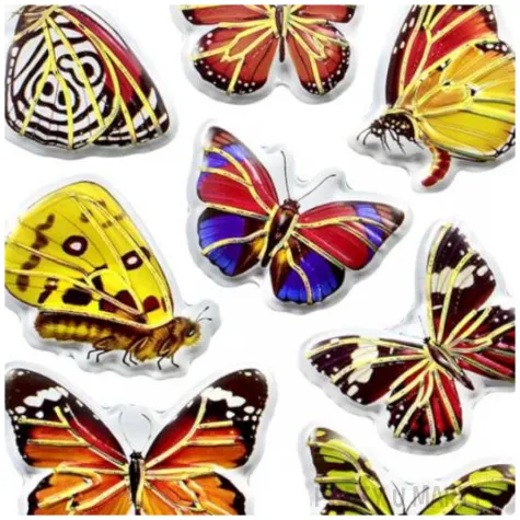 naklejki motyle wielobarwne mix titanum 14 szt
