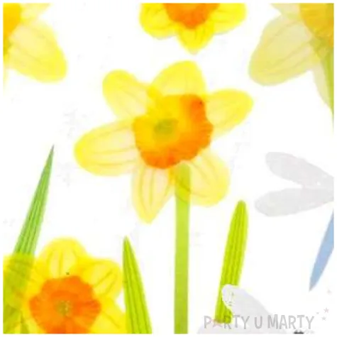 naklejki zonkile i wazki titanum