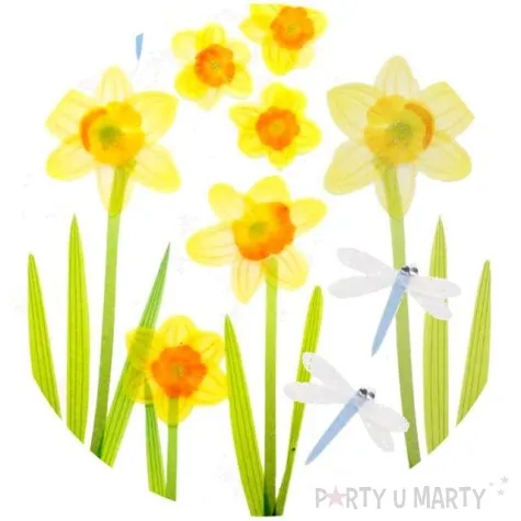 naklejki zonkile i wazki titanum