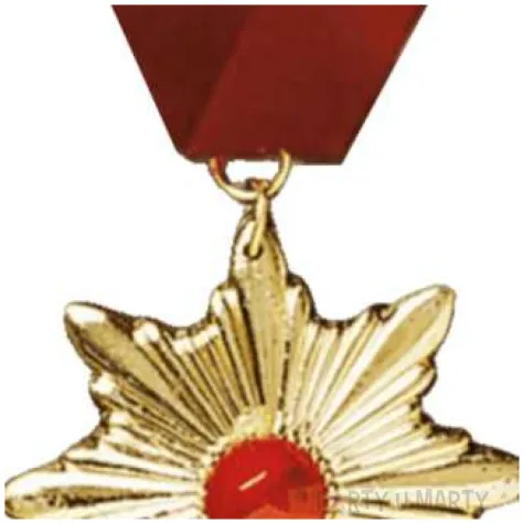 naszyjnik medalion wampira zloty carnival toys