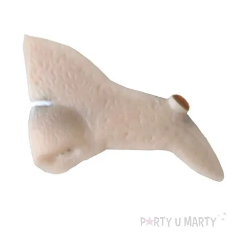 nos czarownica riethmuller