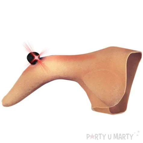 nos czarownica widmann