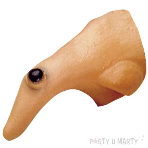 nos czarownica z salem widmann