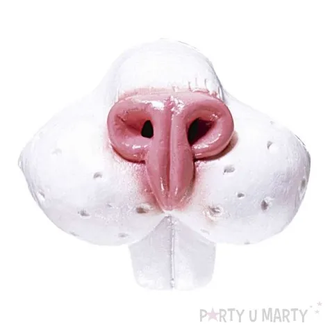 nos krolik z zebami widmann