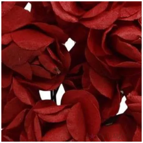 ozdoba papierowe rozyczki czerwone titanum 12 szt