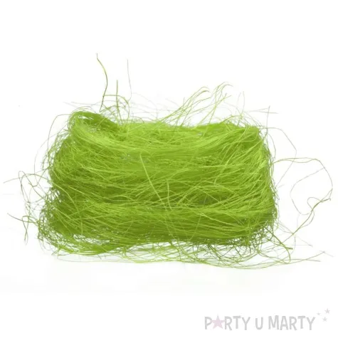 ozdoba sizal sianko zielony arpex 20g