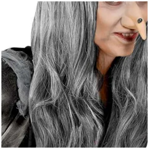 peruka party czarownica stara siwe widmann
