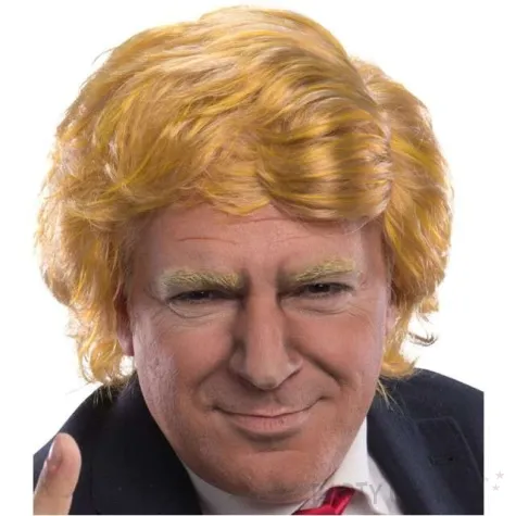peruka party donald trump carnival toys