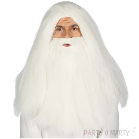 peruka party druid czarodziej z broda guirca