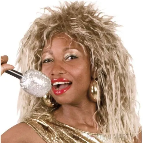 peruka party tina turner boland