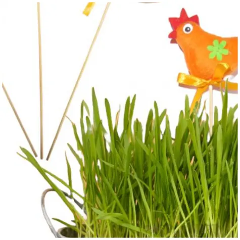 pik ozdobny kogucik mix arpex 24 cm