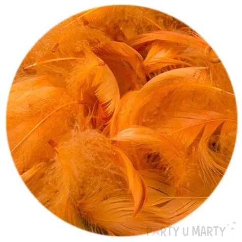 piorka dekoracyjne brazowe jasne woreczek