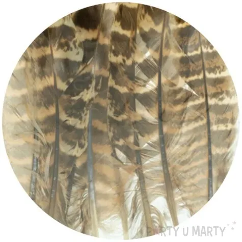 piorka dekoracyjne cetki szaro brazowe aliga 10 15 cm 8 szt