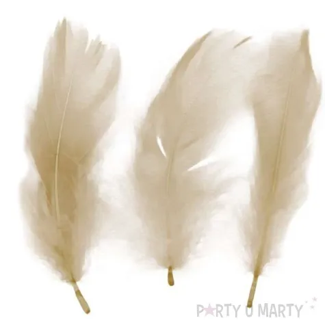 piorka dekoracyjne classic bezowe titanum 16 g