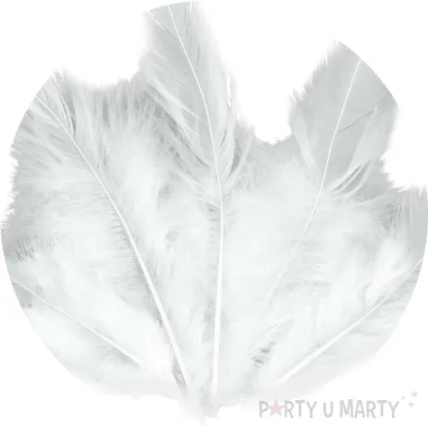 piorka dekoracyjne classic biale aliga 14 5 cm 20 szt