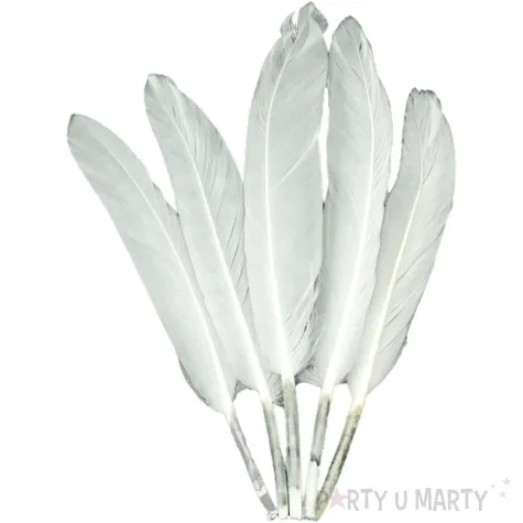 piorka dekoracyjne classic biale aliga 15 cm 40 szt