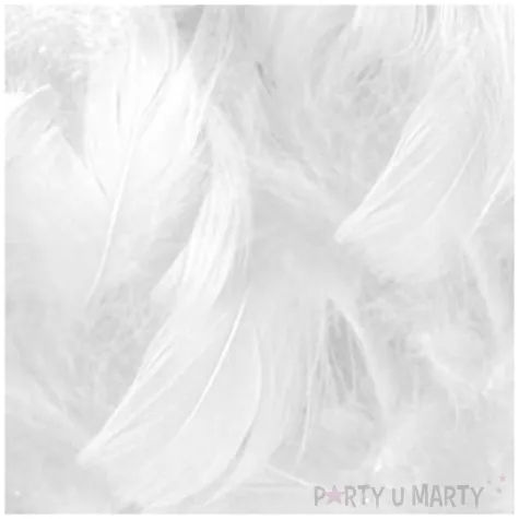 piorka dekoracyjne classic biale titanum 16 g