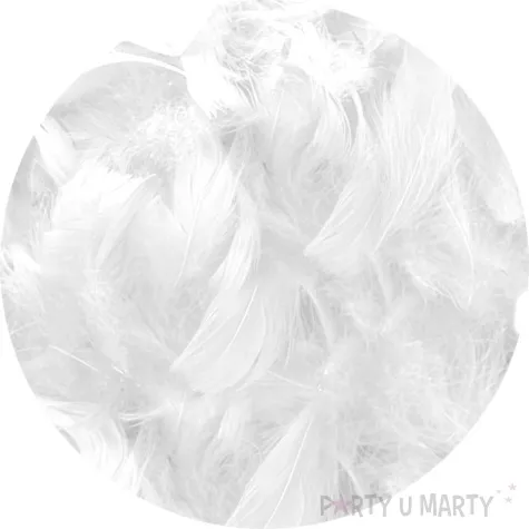 piorka dekoracyjne classic biale titanum 16 g