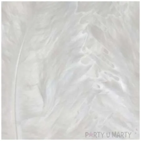 piorka dekoracyjne classic biale titanum 50 szt