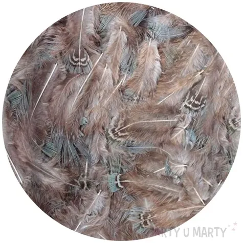 piorka dekoracyjne classic brazowy brewis 8 cm 110 szt