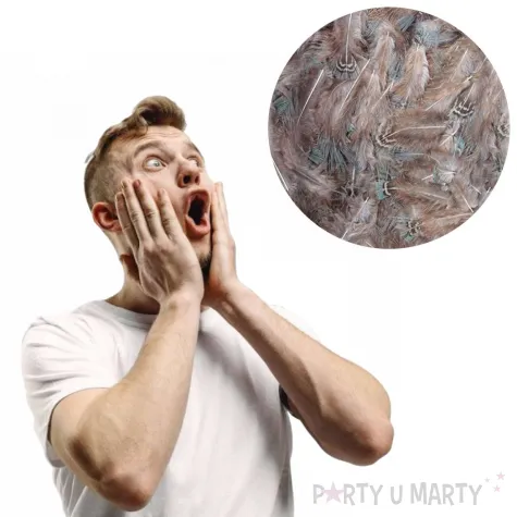 piorka dekoracyjne classic brazowy titanum 8 cm 110 szt