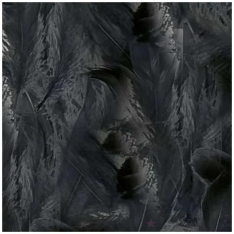 piorka dekoracyjne classic czarne titanum 16 g