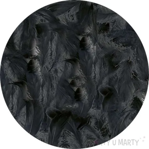 piorka dekoracyjne classic czarne titanum 16 g