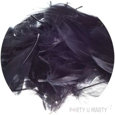 piorka dekoracyjne classic czarny brewis 1 9 cm 250 szt