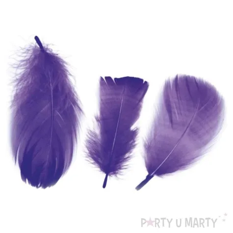 piorka dekoracyjne classic fioletowe titanum 16 g