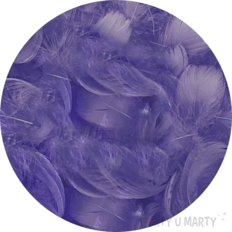 piorka dekoracyjne classic fioletowe titanum 16 g