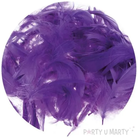 piorka dekoracyjne classic fioletowy brewis 1 9 cm 250 szt