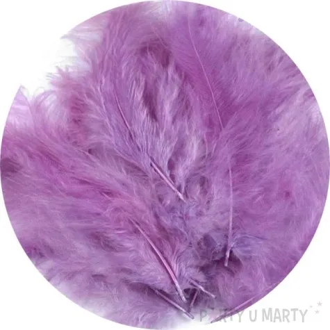 piorka dekoracyjne classic fioletowy jasny stoklasa 9 16 cm 20 szt