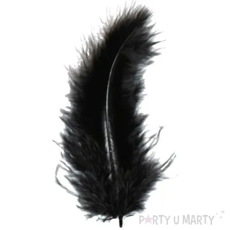 piorka dekoracyjne classic geste czarne titanum 20 szt