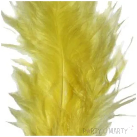 piorka dekoracyjne classic geste zolty titanum 20 szt