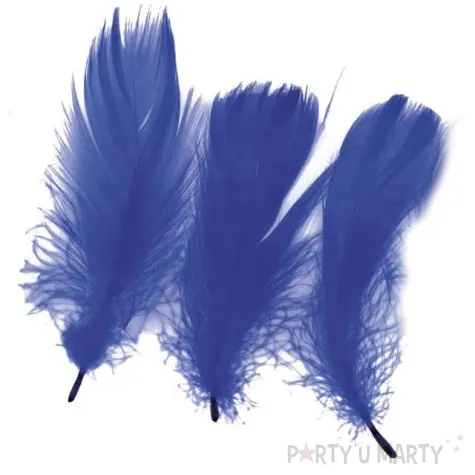 piorka dekoracyjne classic granatowe titanum 16 g