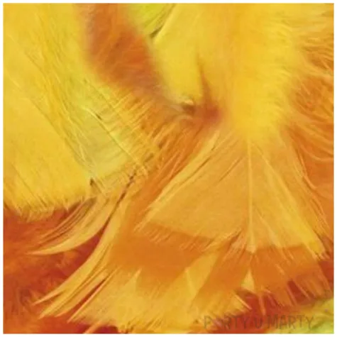 piorka dekoracyjne classic mix 2 titanum 8 g