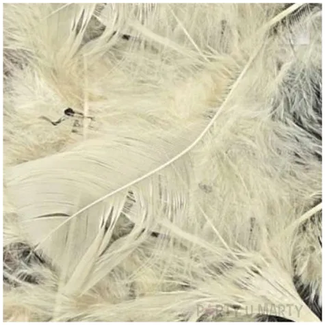 piorka dekoracyjne classic mix brazowy titanum 8 g