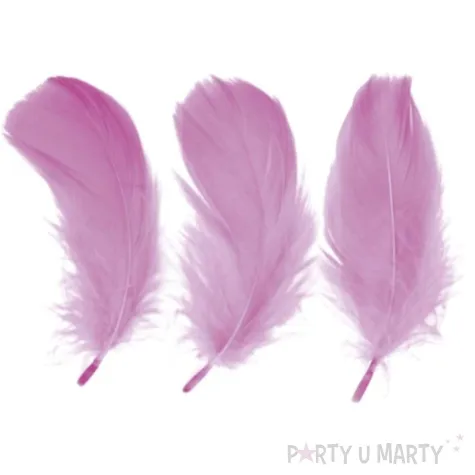 piorka dekoracyjne classic rozowe jasne titanum 16 g