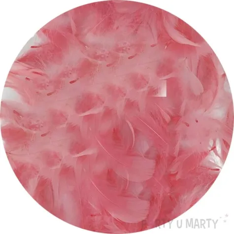 piorka dekoracyjne classic rozowe pastelowe titanum 16 g